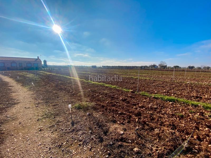 Foto d365b67d-a89d-4112-8602-d71e31ddd297. Xalet a n/a a Miguelturra