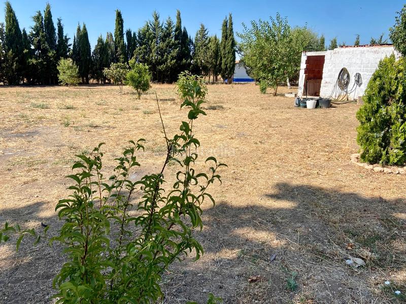 Foto ae733044-4c7a-484d-964e-1e6517f8c40f. Chalet en poblado poblachuela anj 562 en Área Rual - Valverde - Las Casas Ciudad Real