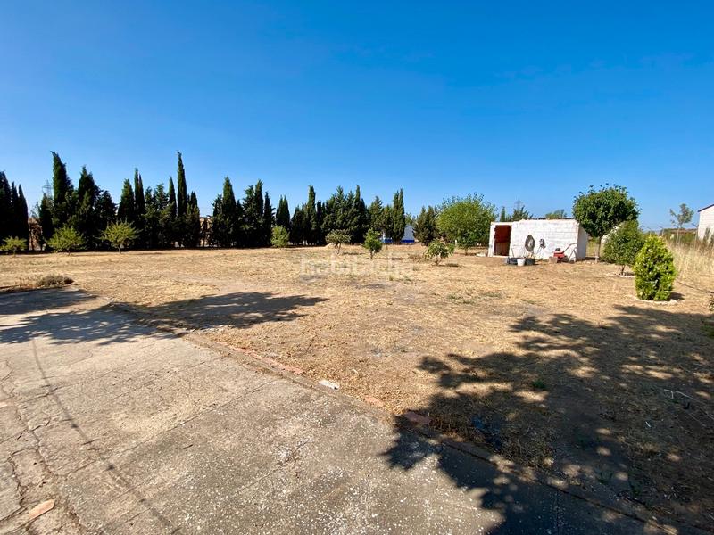 Foto 7487c8e7-9e94-4857-b7d9-15a7287e3211. Chalet dans poblado poblachuela anj 562 dans Área Rual - Valverde - Las Casas Ciudad Real