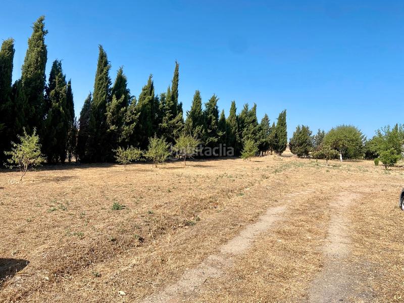 Foto ebab9754-ed02-48ff-ba8d-38c1b5faa483. Xalet a poblado poblachuela anj 562 a Área Rual - Valverde - Las Casas Ciudad Real