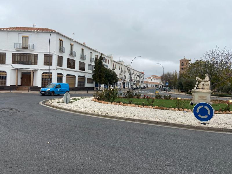 Foto 265b2093-e343-4c86-ace2-fe8dfd61c5f2. Edificio en calle ronda de calatrava 7 en Almagro