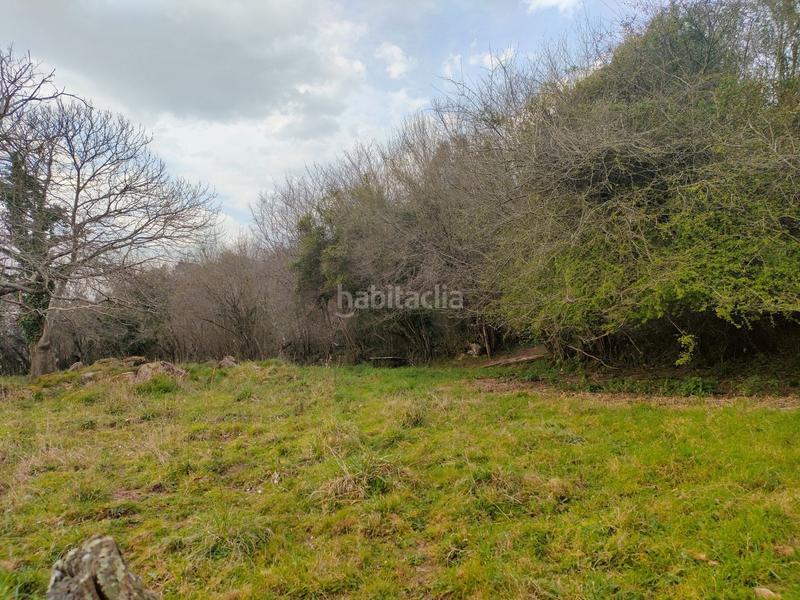 Foto 1ced27df-e3f5-45ec-9b2a-a5a35259cd3a. Rural plot in Caldones Gijón