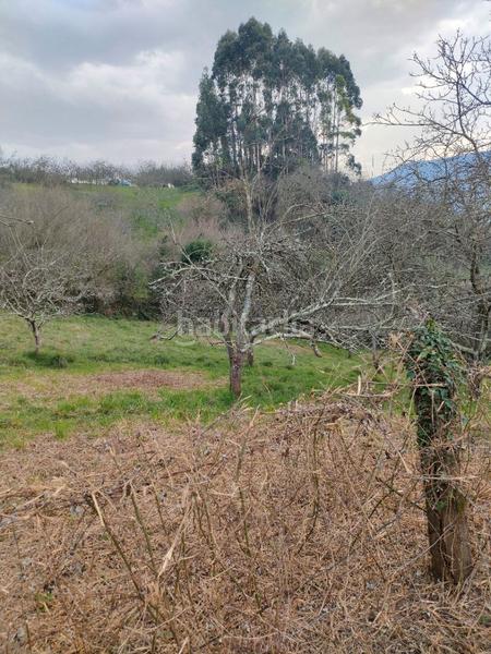 Foto 2c906476-f6be-47c5-9565-57ba8b2a75d3. Rural plot in Caldones Gijón