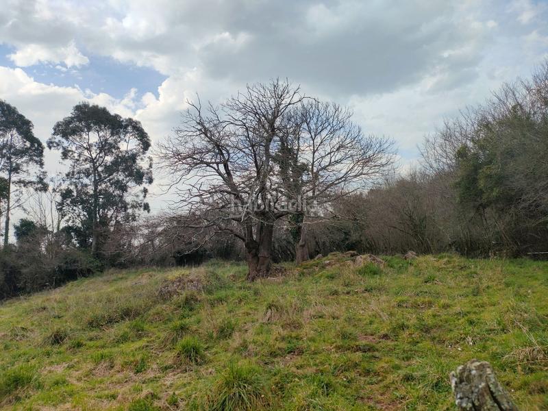 Foto bd26d3a6-77af-425a-a611-e2dc8dfdb00e. Rural plot in Caldones Gijón