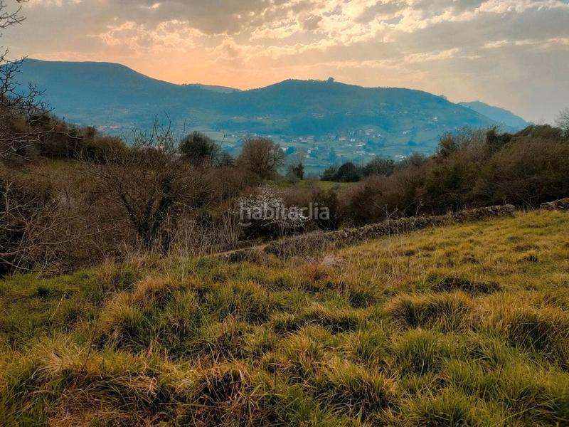 Foto e04a8338-43d7-481d-b0a3-e570f8c931c7. Rural plot in Caldones Gijón