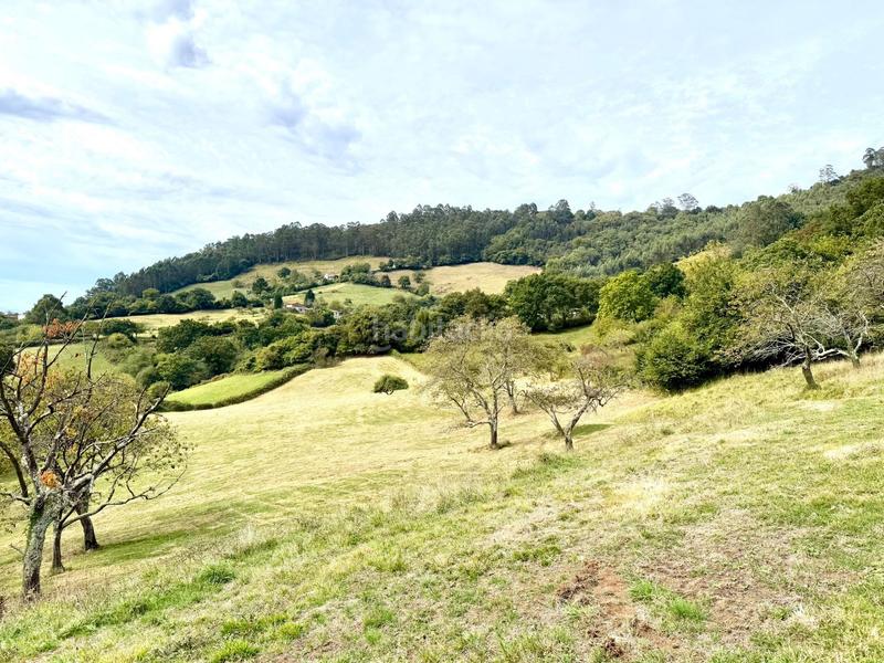 Foto 09ad46e9-aac4-436d-bdd1-ae9f9b3a04de. Propriété dans Parroquias Norte Siero