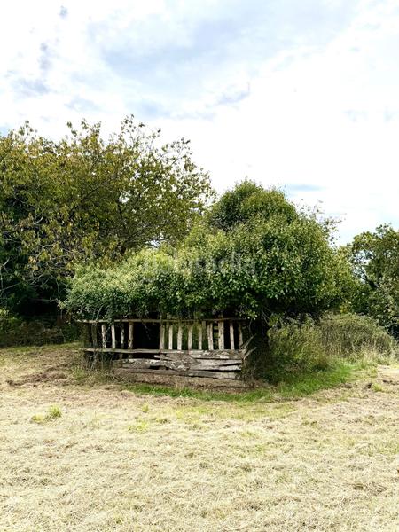 Foto 50d36fa5-279c-46f6-9c5b-c86ee8603fd0. Propriété dans Parroquias Norte Siero