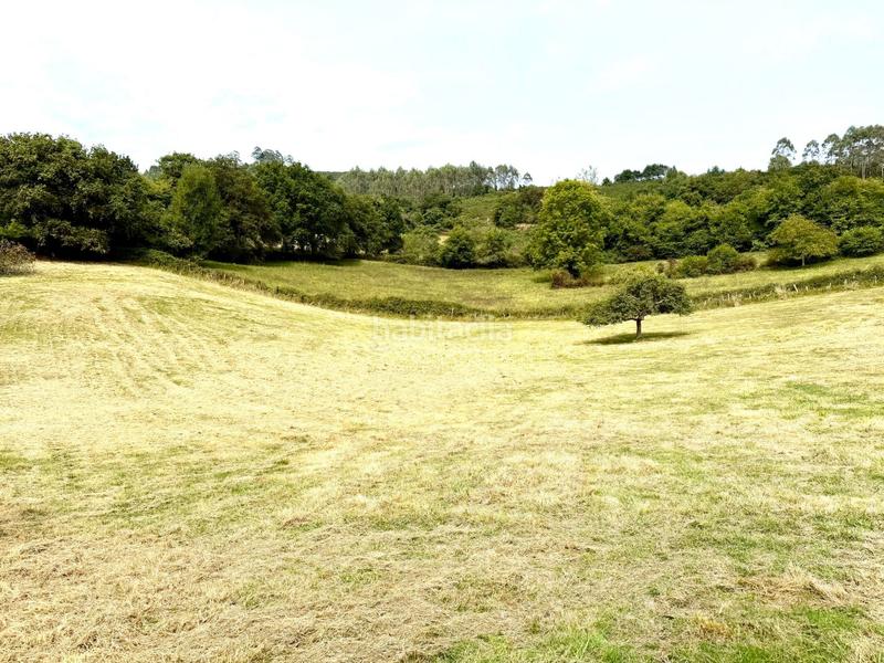 Foto 5aa4afe6-bda1-40cd-a02d-7a1f04d9e51a. Propriété dans Parroquias Norte Siero