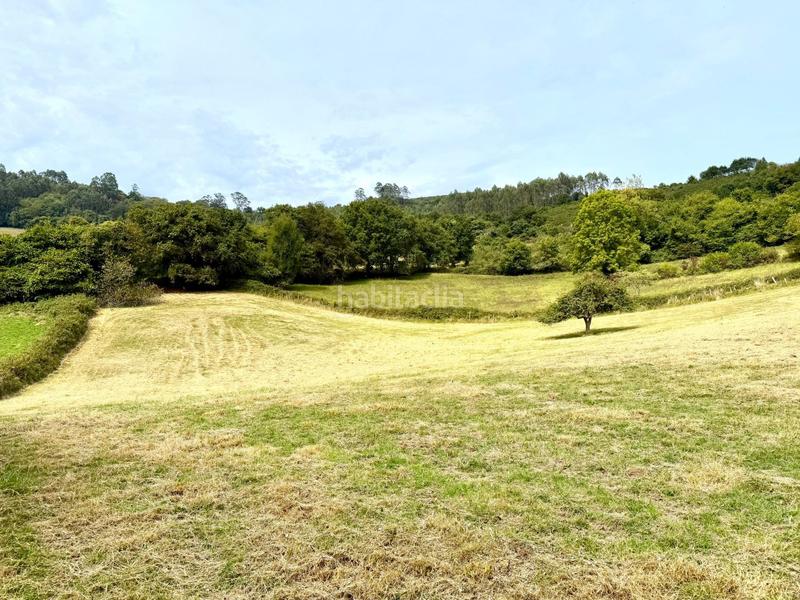 Foto 9d6541d2-201e-4547-a5f5-3721dac4396d. Propriété dans Parroquias Norte Siero