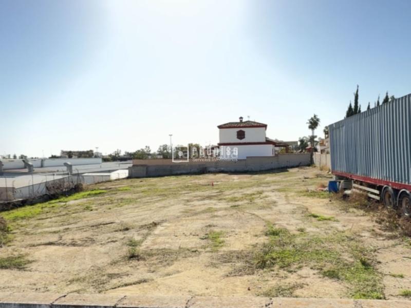 Foto 35d26744-c2db-4278-995a-a9f5f18c8af7. Terreny residencial a Cortijo de Maza - Finca Monsalvez - El Olivar Málaga