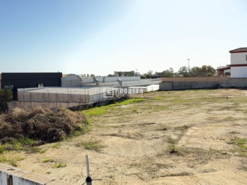 Foto 9b31b878-0ee1-4bc2-82d9-c18bacf114f0. Terreny residencial a Cortijo de Maza - Finca Monsalvez - El Olivar Málaga