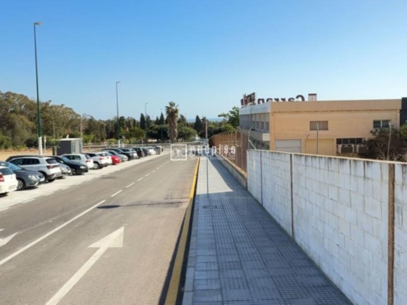 Foto f37275a6-b678-4827-a7ea-21c203b5996f. Terreny residencial a Cortijo de Maza - Finca Monsalvez - El Olivar Málaga