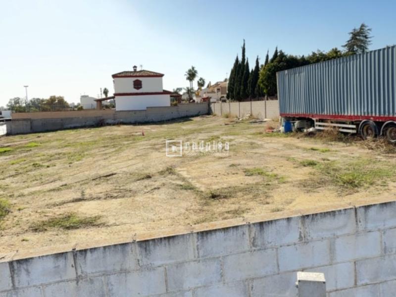 Foto f7026bbf-c381-4998-9e26-1a97c0d352fb. Terreny residencial a Cortijo de Maza - Finca Monsalvez - El Olivar Málaga