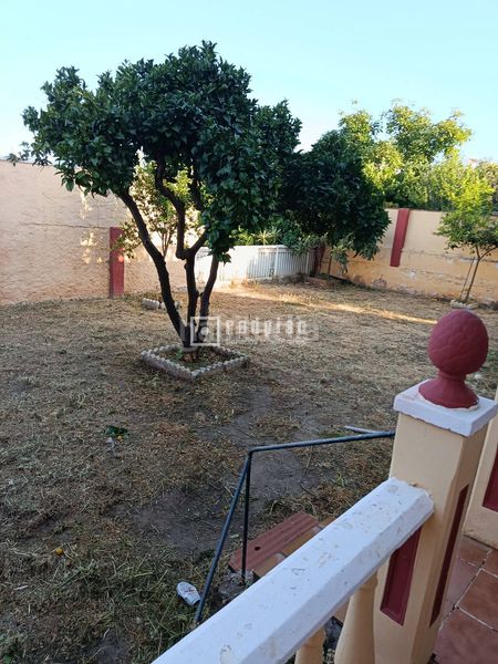 Foto d6badfbc-15fc-42e9-aa04-38fa7aee8e4c. Casa amb aparcament a Cortijo de Maza - Finca Monsalvez - El Olivar Málaga