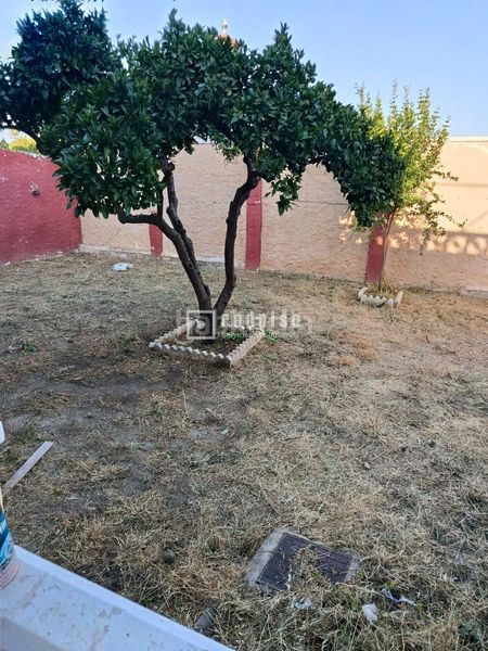 Foto e0ed9ef9-b908-42e6-88b4-f04af6868445. Casa amb aparcament a Cortijo de Maza - Finca Monsalvez - El Olivar Málaga