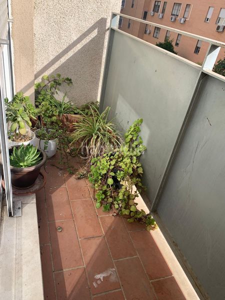 Foto 5cfb0706-a8b5-433a-9d63-f313ffa93e97. Pis amb aparcament a Palmete Sevilla