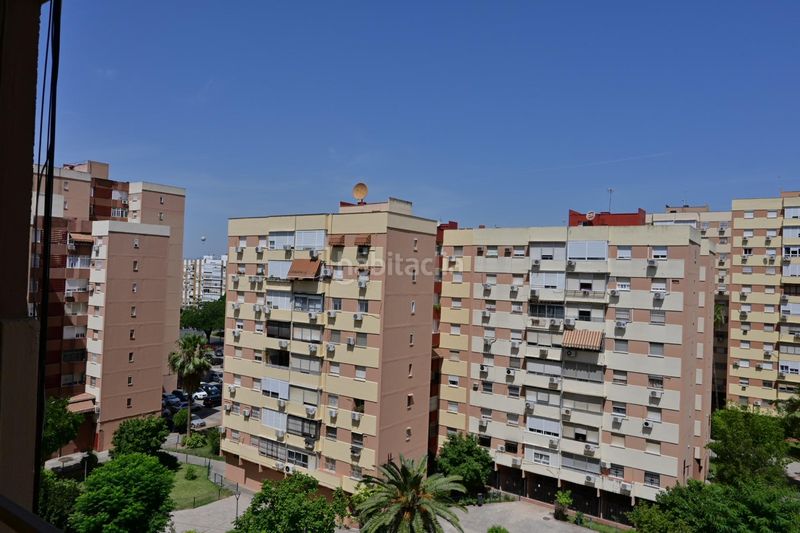 Foto 7f2ebc90-0aa8-464c-ae5c-2357bd39e33d. Pis a Pino Montano - Consolación Sevilla