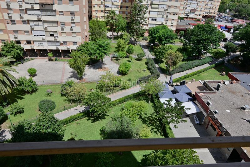Foto ee844623-0961-4839-b20c-73c7a91f2b2c. Pis a Pino Montano - Consolación Sevilla