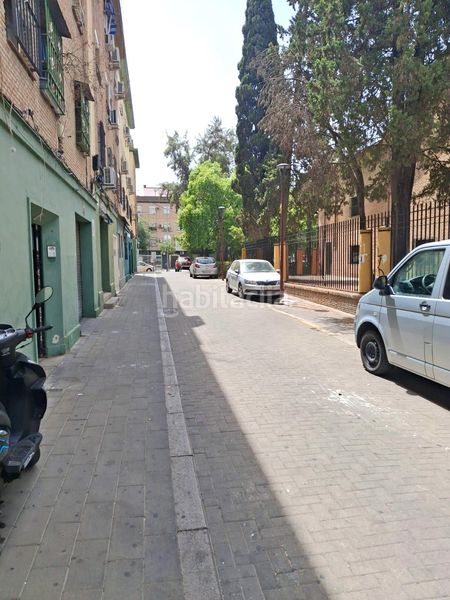 Foto 53af7052-53bf-4764-8274-f3f41d6966b7. Pis a Amate Sevilla