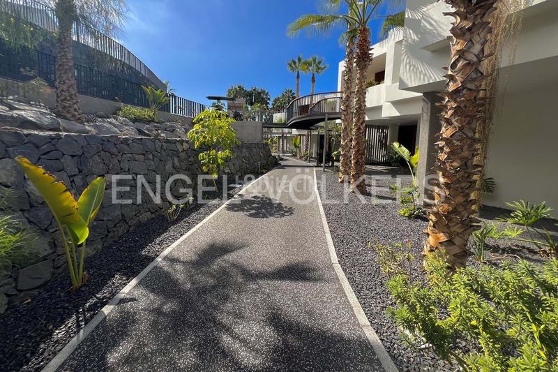 Foto 76af6679-f622-4827-a6ea-1e60a8d36dfe. Pis amb piscina a Abama Guía de Isora