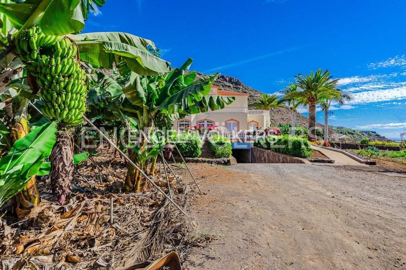 Foto 45730211-8d4c-4c6a-86f7-2cbc6dd0c328. Haus mit parking in Tamaimo - Arguayo Santiago del Teide