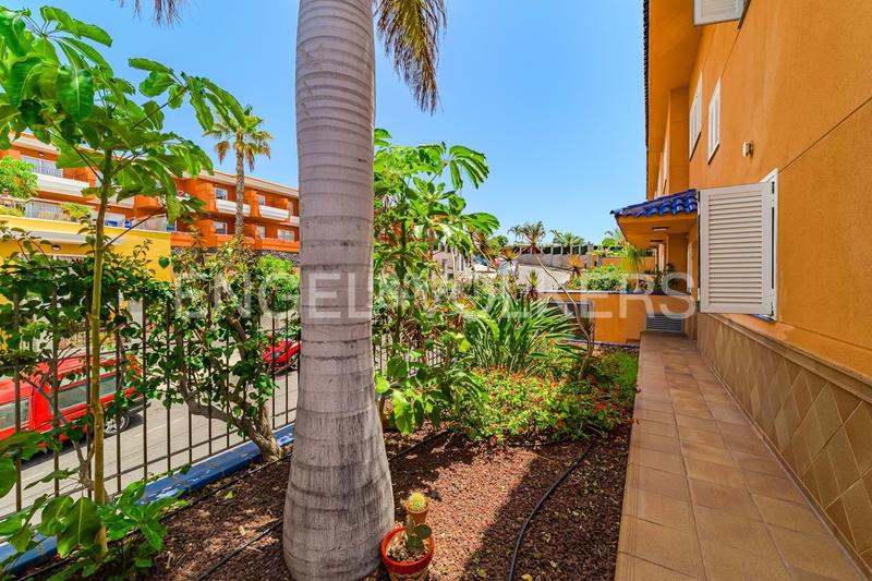 Foto dbeb9ecd-a42d-4f15-9656-6e6f7cd5e6b9. Casa en Puerto de Santiago Santiago del Teide