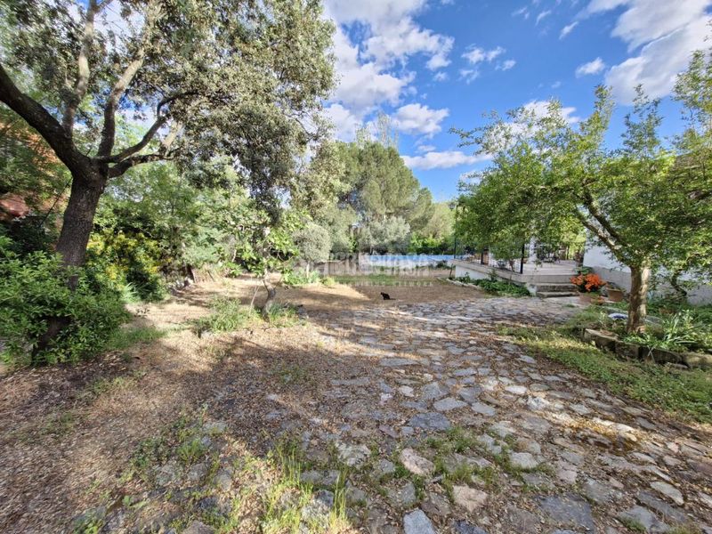 Foto b6ddb5ee-6f2a-43fe-801d-1b233bf3e7ce. Masia amb piscina a Carolina (La)