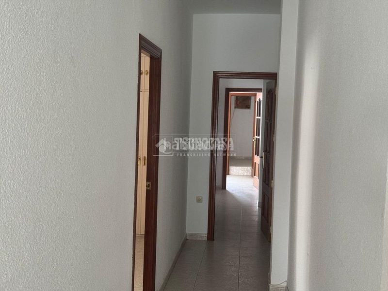 Foto 4ac0aa89-3d11-4356-b86a-9bc8a9815577. Pis a Almendralejo