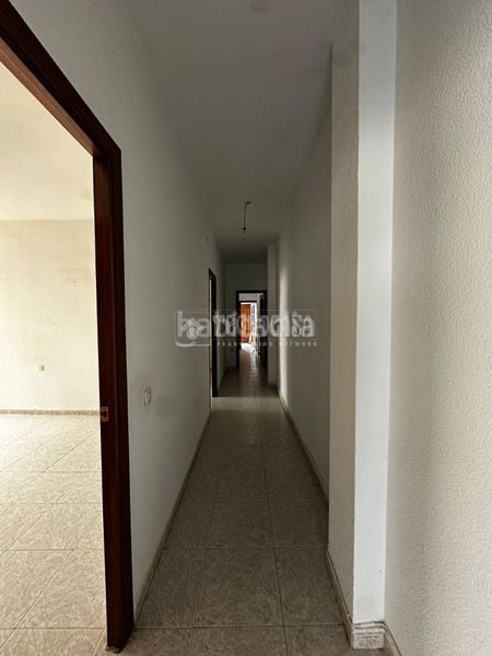 Foto 640657b8-3564-4547-940a-e16763514a95. Pis a Almendralejo