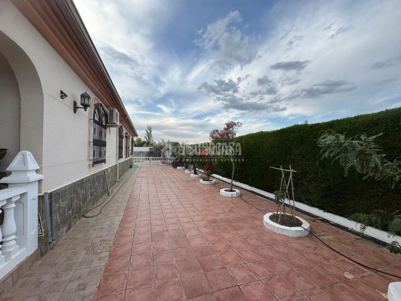 Foto c3fa9014-965a-4b18-b9a2-d624d15446f3. Masia a Almendralejo