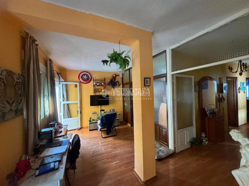 Foto c208635e-1eb6-4609-97ff-415b880228c2. Pis a Almendralejo