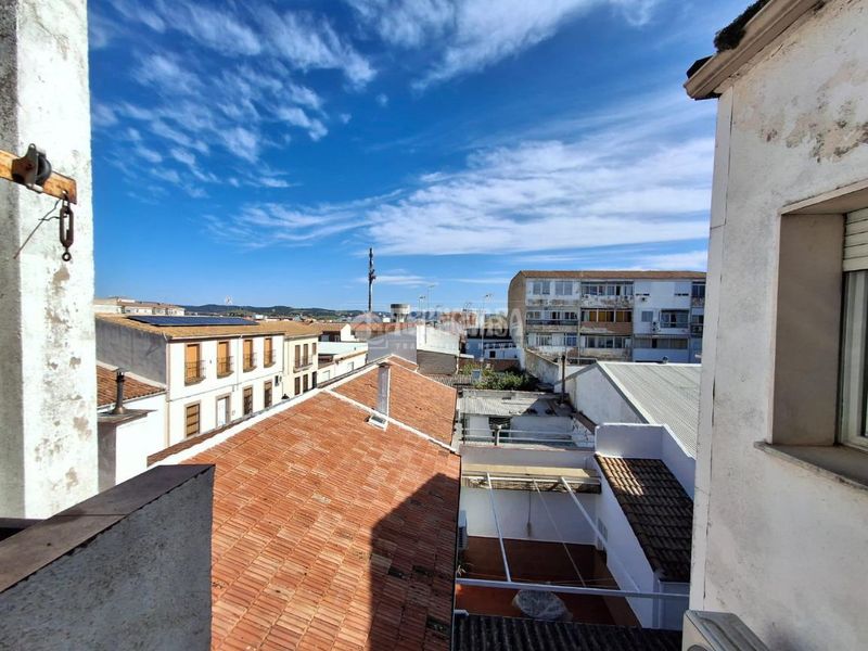 Foto 725b7f89-0606-4334-a56e-5c65553583ee. Pis a Carolina (La)