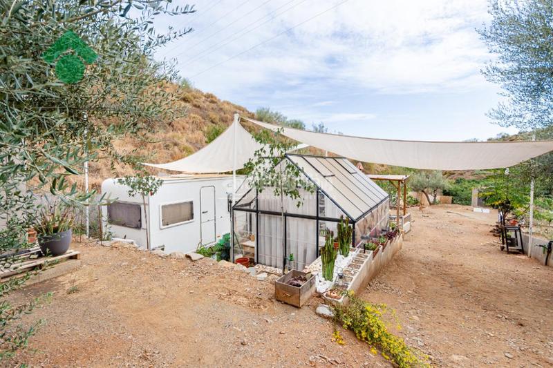 Foto 0a7e4fd4-f8c7-459f-b0a5-4a568c571a1a. Finca rústica a Benagalbón Rincón de la Victoria