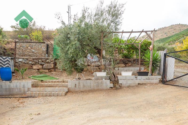 Foto 7db8f693-aa8e-45fe-b358-7ed4dd0dff21. Finca rústica a Benagalbón Rincón de la Victoria