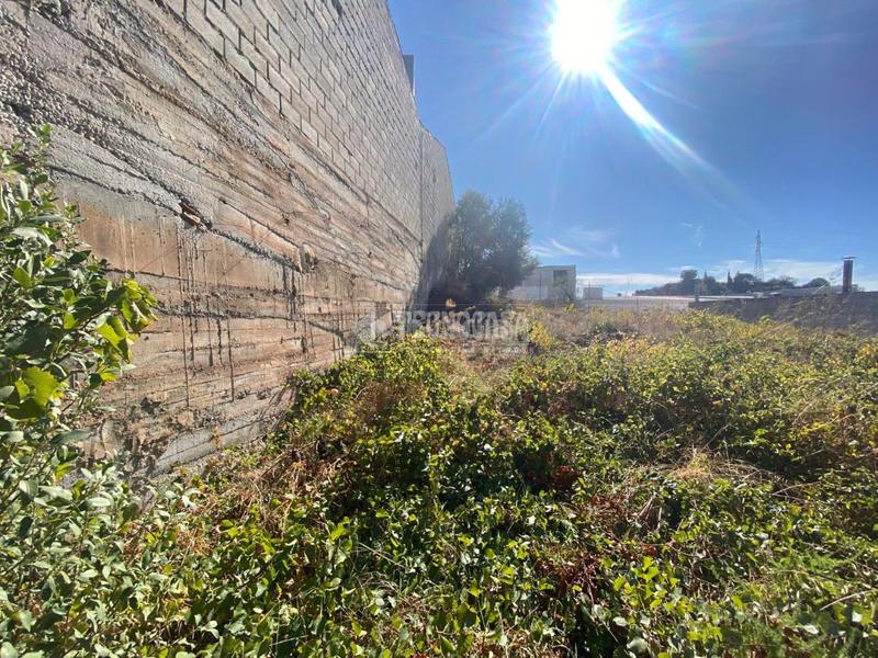 Foto 340d9b45-173f-4303-96de-34eff6ebf1b7. Finca rústica terrenos en venta en Cotomar Rincón de la Victoria