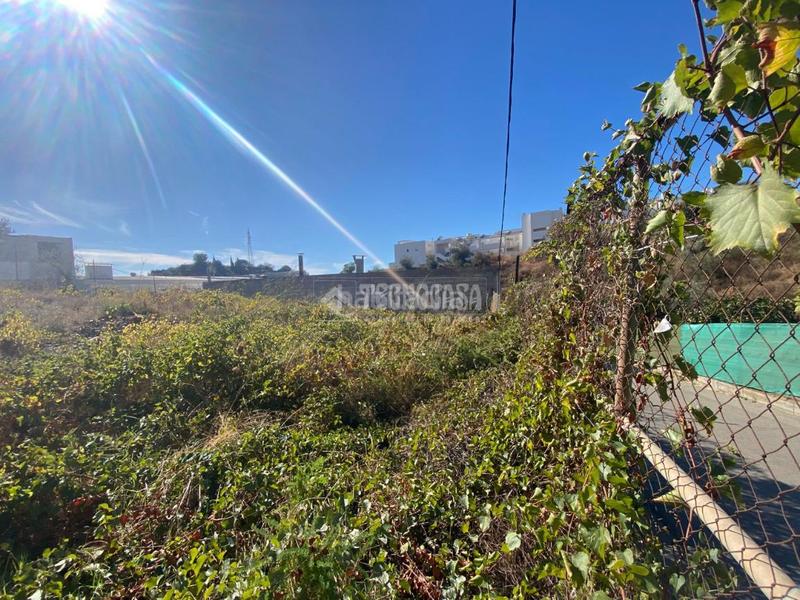 Foto 63203cc1-7c76-45c2-9f0c-bd163e546ec9. Finca rústica terrenos en venta en Cotomar Rincón de la Victoria