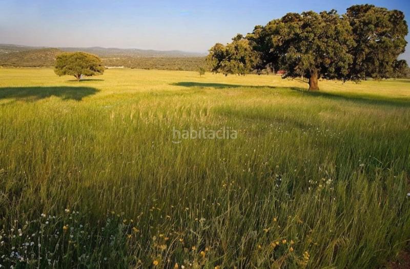 Foto 4a111e11-184f-449f-9c6e-63668b3b45e4. Rural plot in Centro Mérida