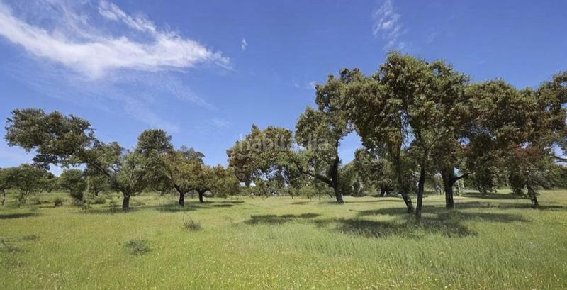 Foto 9c79b433-f565-463c-8d86-d04271b39e32. Rural plot in Centro Mérida