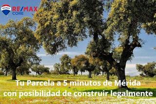 Landgut in Valverde de Mérida. Venta de 7 parcelas rusticas con posibilidad de construir legalm