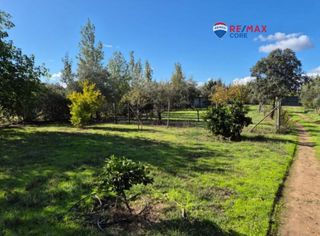 Casa en Avenida Elvas. Encantadora casa de campo en badajoz  urbanizaci�n la rocilla