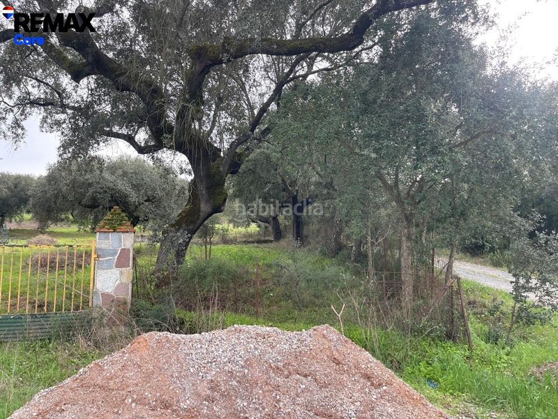 Foto 43a688b4-95f5-42a6-b556-a9d183946984. Finca rústica a Jerez de los Caballeros