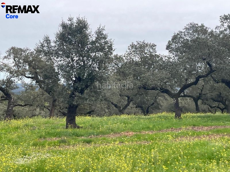 Foto 86229bd2-9675-437b-a1b0-3e4b6d1a07b6. Finca rústica a Jerez de los Caballeros