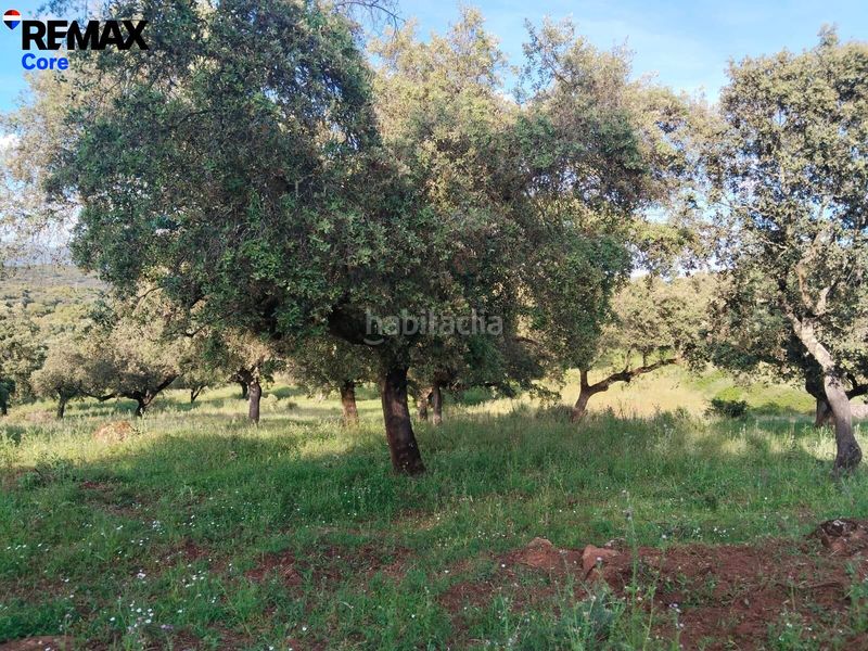 Foto cb0c08e2-2f77-4da3-98de-ce4851199796. Finca rústica a Jerez de los Caballeros