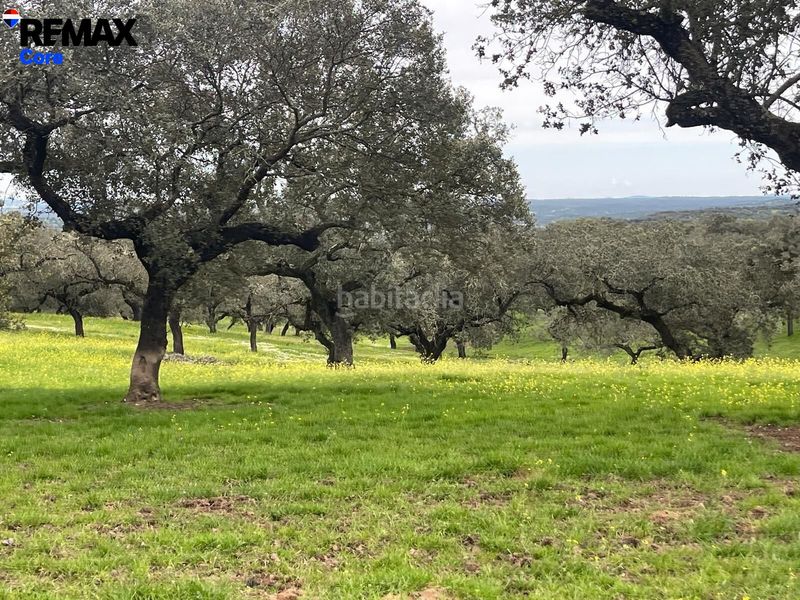 Foto fe4cefc6-d064-4812-a659-5525a2f3e811. Finca rústica a Jerez de los Caballeros