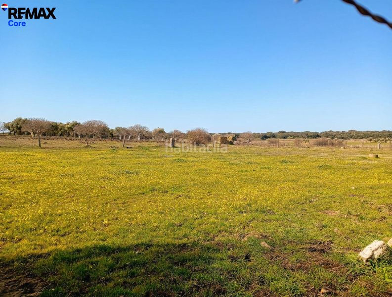 Foto cf8beeee-5e6c-4a0f-a80f-bcc66ea2a5e4. Finca rústica a Montánchez