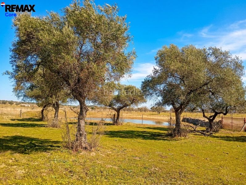 Foto e46317e7-b0d9-4b12-aac6-2f8ea4123d69. Finca rústica a Montánchez