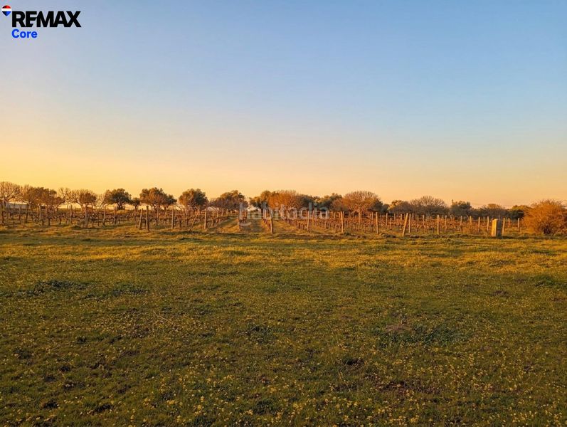 Foto f97e23d7-d2c5-4e68-b63e-6aca4780f34e. Finca rústica a Montánchez