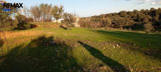 Fondo rustico in Carretera de Sevilla - Los Montitos. Oportunidad única terreno de 1.900 m2  en los rostros