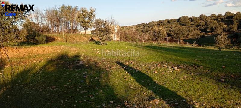 Foto 037ffdd9-54bd-4cd0-a146-1847f2e66837. Finca rústica a Carretera de Sevilla - Los Montitos Badajoz