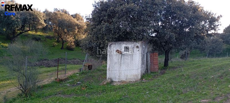 Foto 33a47e90-571a-4219-a3bd-ae06aa57bcca. Finca rústica a Carretera de Sevilla - Los Montitos Badajoz